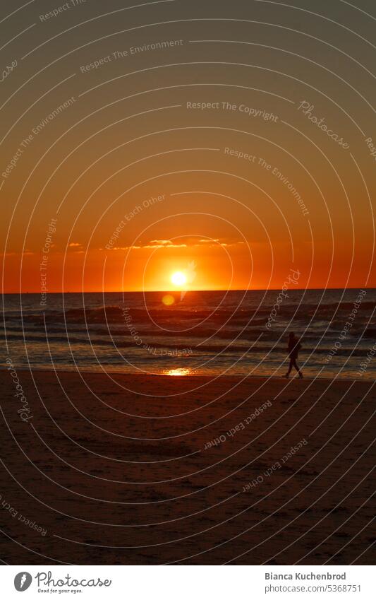 Silhouette einer Person die bei Sonnenuntergang am Strand spazieren geht. Sonnenuntergang Meer Sonnenlicht Sonnenstrahlen Außenaufnahme sonnig Abend