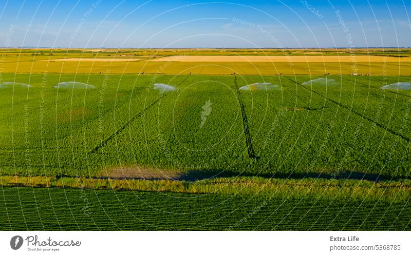 Luftaufnahme einer landwirtschaftlichen Hochdruck-Wasserberieselungsanlage, die Wasserstrahlen zur Bewässerung von Maiskulturen aussendet oben Antenne Ackerbau