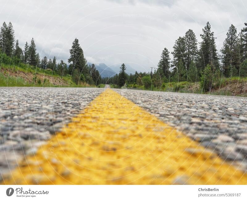 Landstraße vom Boden aufgenommen mit gelbem Mittelstreifen Straße Ohne verkehr Menschenleer Gelber mittelstreifen grauer Asphalt Bäume Verkehrswege Wege & Pfade