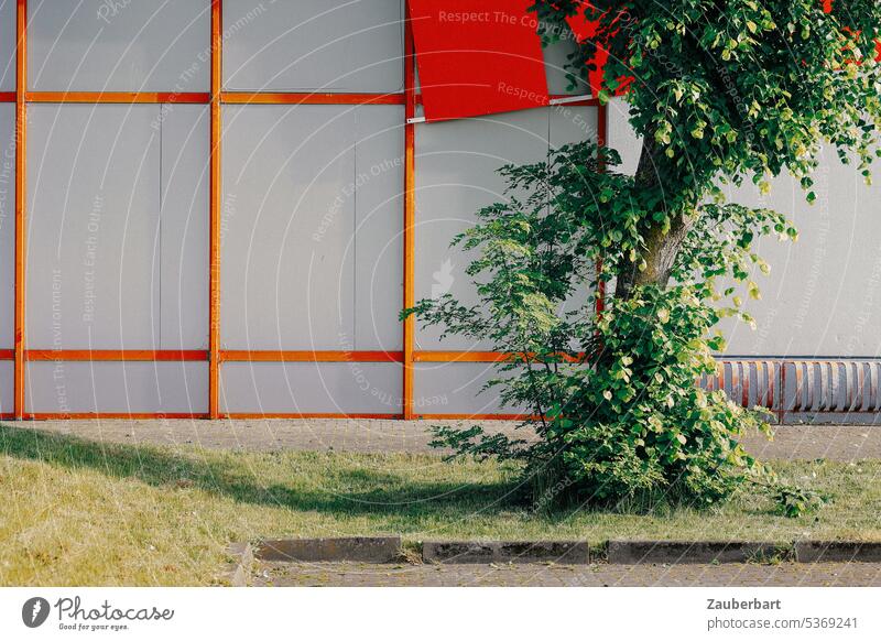 Fassade mit roten Rechtecken in Gewerbegebiet, davor Baum Kante Markt Halle Lagerhalle Gebäude Industrie Arbeit & Erwerbstätigkeit Strukturen & Formen Handel