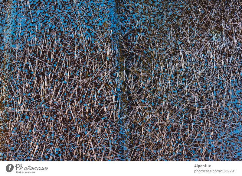 Rudelbildung Oberfläche Strukturen & Formen Farbe Nahaufnahme abstrakt Detailaufnahme Oberflächenstruktur Muster Zerstörung trashig Hintergrundbild