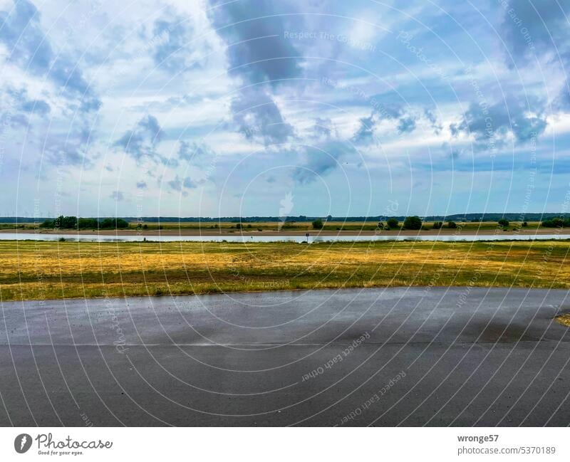 Regenwolken über der Elbe und nasser Asphalt auf dem Elbdeich Fluss Flussufer Deich Deichkrone Radweg Elberadweg Regennass Reflexion & Spiegelung Außenaufnahme