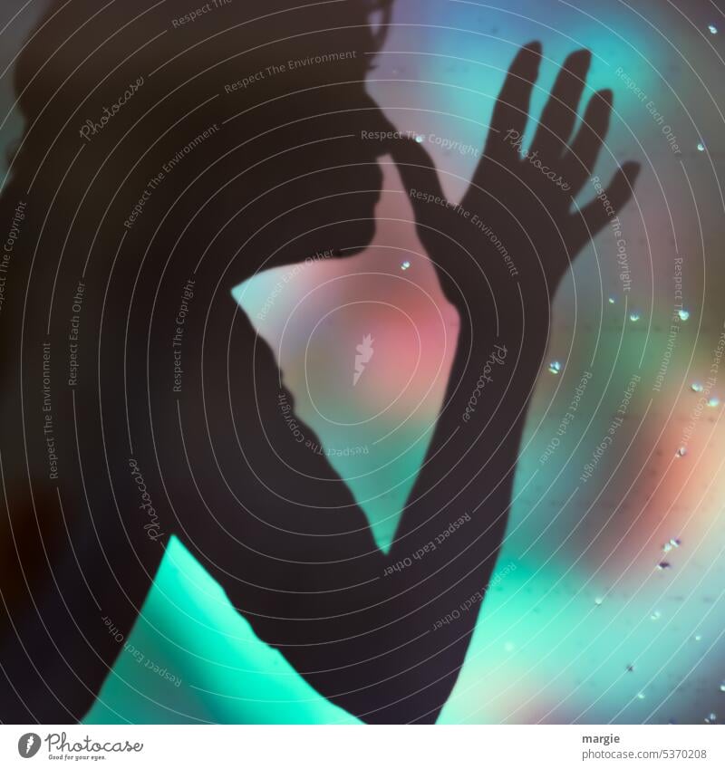 Schattenspiel: Ätsch! Profil einer Frau, Mädchen, sie hält die flache Hand an die Nase profilbild Silhouette ätsch ätschibätschi Gesicht Mensch Kontrast schwarz