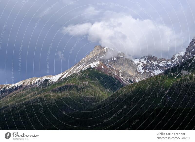 Umwölkter Gipfel Engadiner Dolomiten Alpen Gebirge Berg schneebedeckt Wald Wolken Baumgrenze umwölkt bewölkt Sonnenstrahlen Berge u. Gebirge Frühling Altschnee