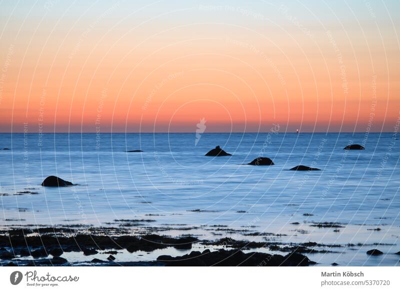 Sonnenuntergang, Steinstrand mit kleinen und großen Felsen vor dem beleuchteten Meer Sandstrand Sonnenstrahlen Sonnenschein Reflexion & Spiegelung Glitter gelb