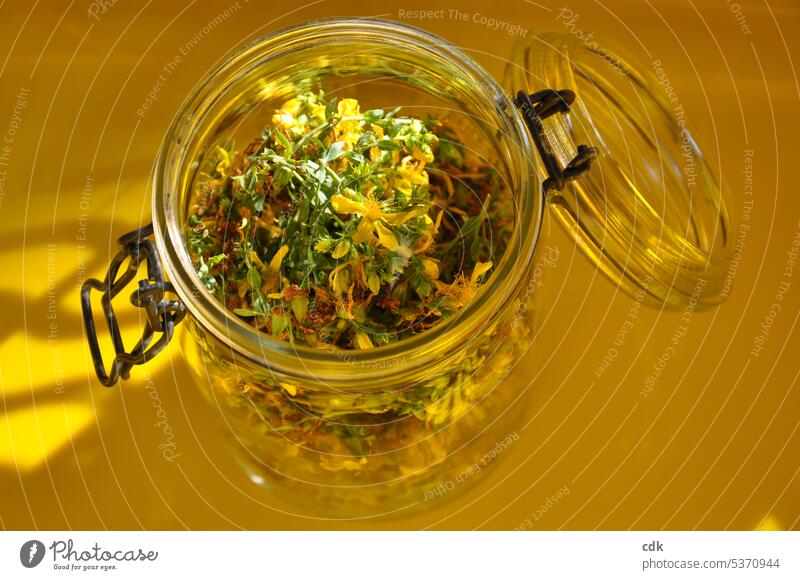 Johanniskraut im Glas | Herstellung von Rotöl. Pflanze Natur Sommer Blüte gelb Blume Wildkräuter Wildkraut Heilkraut Heilkräuter Hausapotheke Phytotherapie