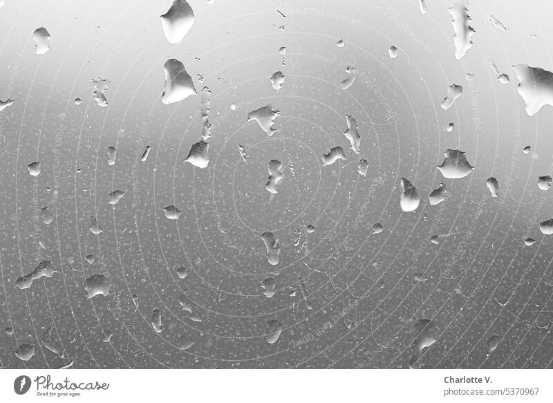 Grau in Grau | Regentropfen auf einer Fensterscheibe Tropfen Nahaufnahme Wassertropfen grau nass schlechtes Wetter Detailaufnahme Regenwetter Natur feucht trist