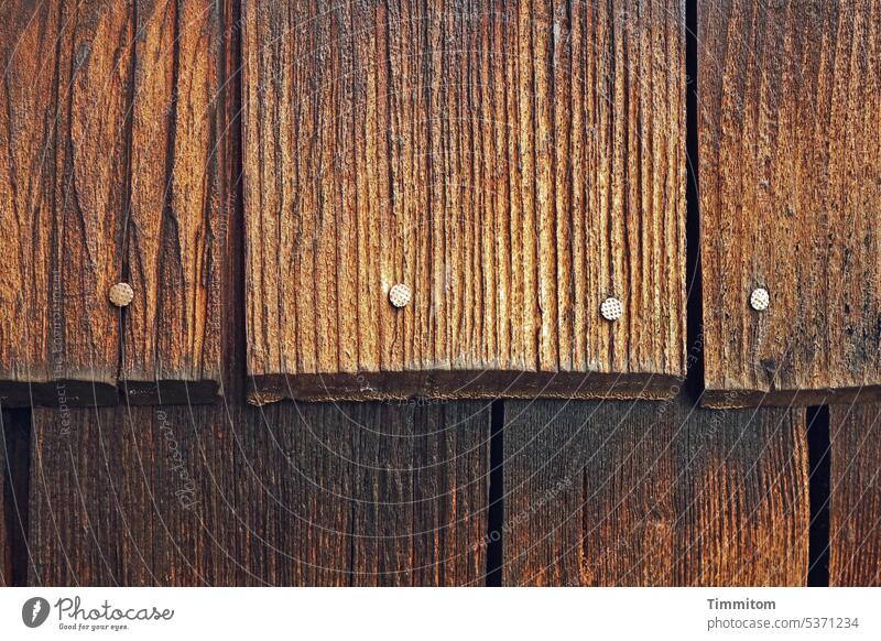 Holz an der Wand braun Nagel Schindeln Wandverkleidung Farbfoto Strukturen & Formen Menschenleer Detailaufnahme Maserung Linien Schatten