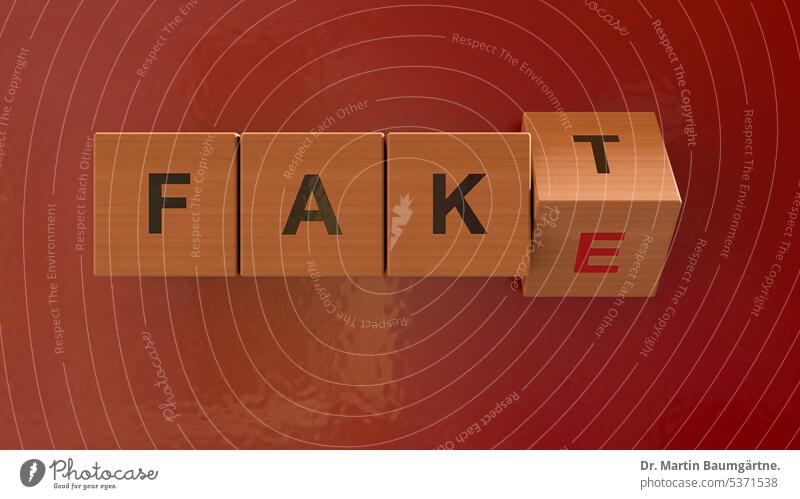 Fakten und "Fake News,"miaute meine Katze, "nicht immer eindeutig". Falschinformationen Tatsachen Falschnachricht zweideutig Zweideutigkeit Schriftzeichen