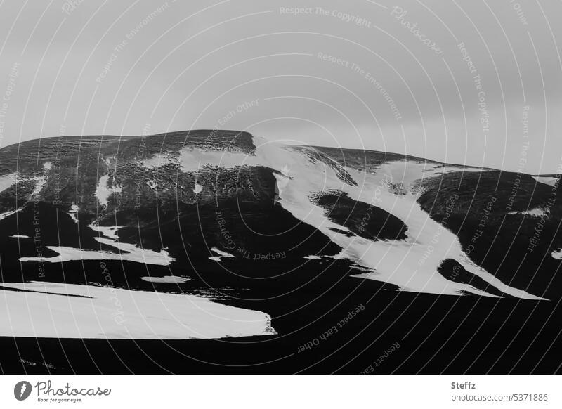 Schneeformen auf einem Hügel an einem grauen Tag auf Island Nordisland Schneereste Schneeschmelze Nordostisland Felshügel Felsen hügelig Naturformen Islandreise