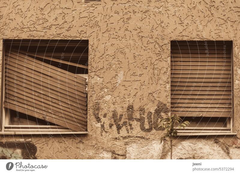 Wohnung im Verfall Fenster Wand Jalousie defekt Sanierung Renovieren Zahn der Zeit Gebäude Wandel & Veränderung verfallen Vergänglichkeit Strukturen & Formen