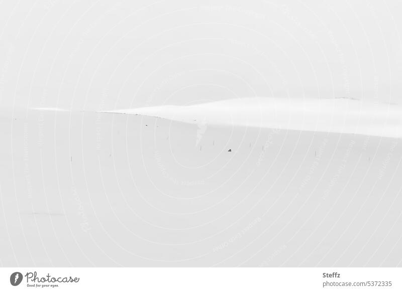 Schnee, Hügel und Himmel auf Island Winterstille Ostisland Schneelandschaft Schneedecke leer pur weiß grau ruhig schneebedeckt Hügellandschaft isländisch