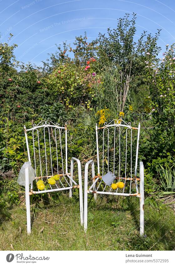 Gartenstühle Schrebergarten gartenlaube Außenaufnahme sommer Natur farbfoto Menschenleer Weiß Romantisch Freizeit Kleingartenkolonie Hobby Grün Pflanzen