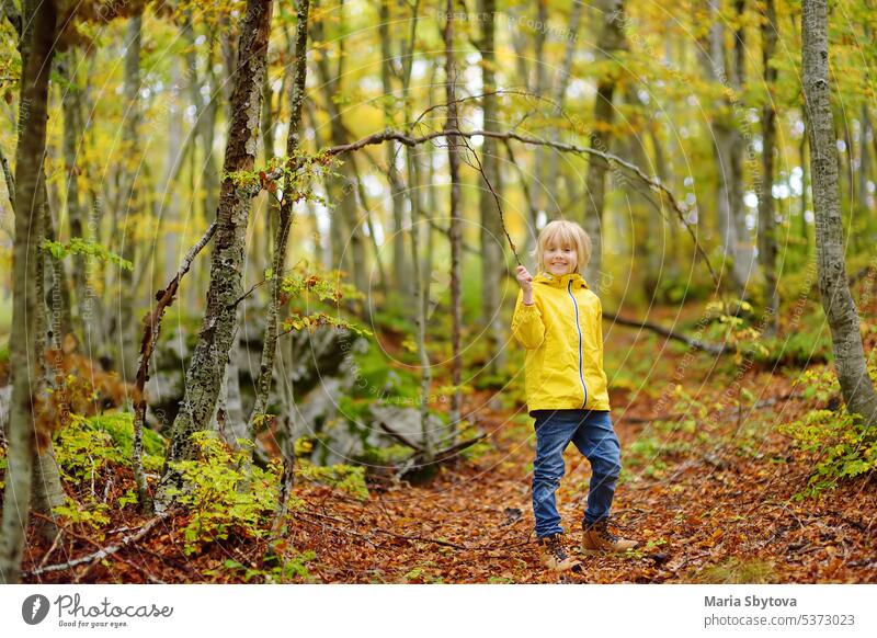 Grundschuljunge geht an einem Herbsttag im Lovcen-Nationalpark in Montenegro spazieren. Ein neugieriger Junge erkundet die Natur. Tourismus und Reisen für Familien mit Kindern.