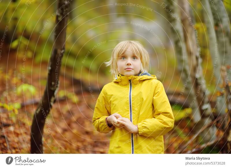Grundschuljunge geht an einem Herbsttag im Wald spazieren. Ein neugieriger Junge erkundet die Natur. Tourismus und Reisen für Familien mit Kindern. überrascht