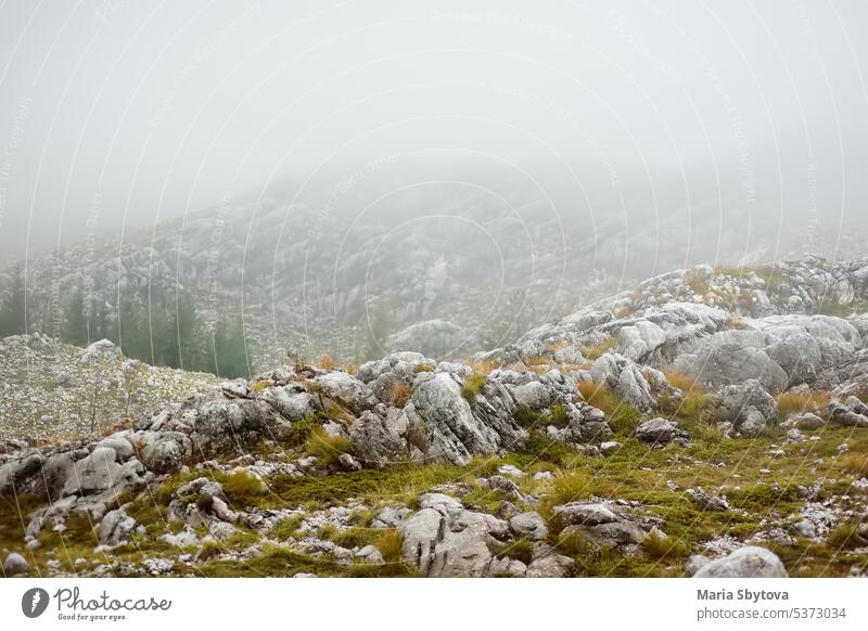 Eine malerische Landschaft eines Bergtals an einem nebligen Tag Berge u. Gebirge Nebel Alpen Europa Tal Natur Abenteuer erstaunlich Hintergrund Wildnis