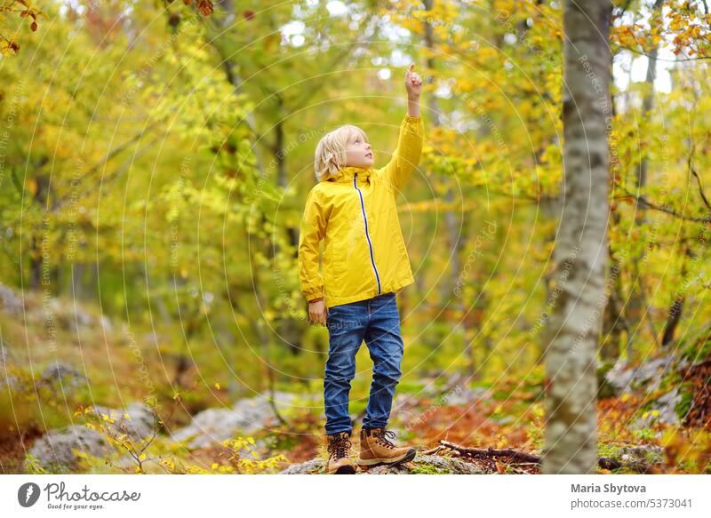 Grundschuljunge geht an einem Herbsttag im Lovcen-Nationalpark in Montenegro spazieren. Ein neugieriger Junge erkundet die Natur. Tourismus und Reisen für Familien mit Kindern.
