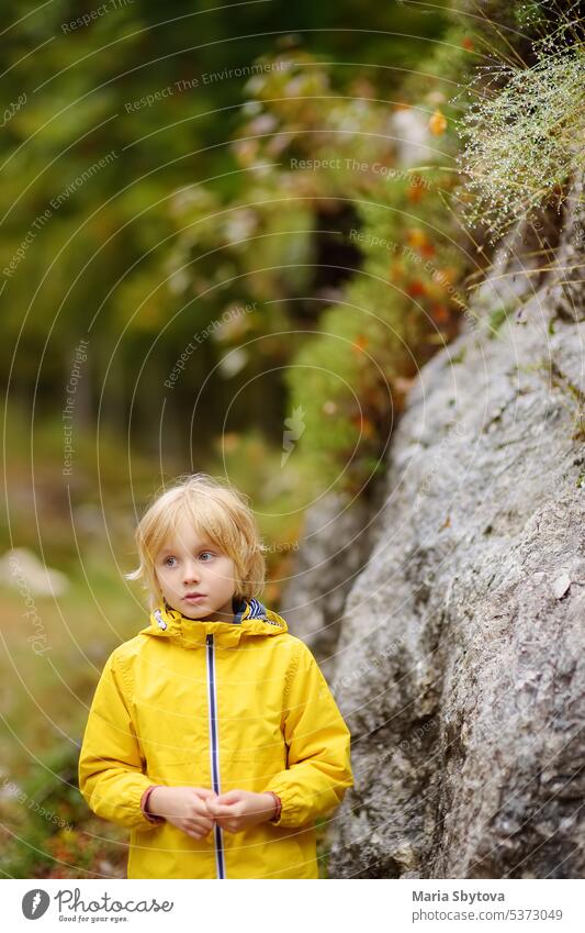 Grundschuljunge geht an einem Herbsttag im Wald spazieren. Ein neugieriger Junge erkundet die Natur. Tourismus und Reisen für Familien mit Kindern. überrascht