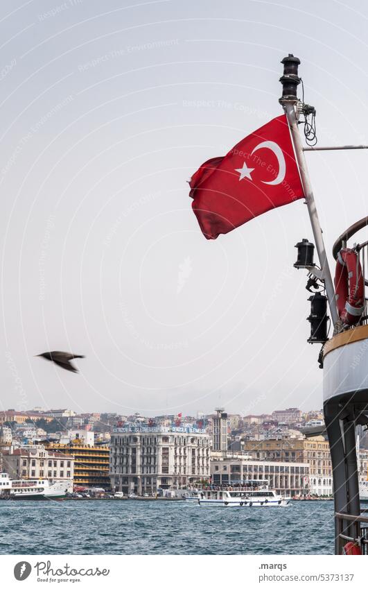 vor Istanbul Stadt Türkei Himmel Tourismus Ferien & Urlaub & Reisen Bosporus Fluss Wasser Sommer Fahne Hafenstadt Schifffahrt wehen Türkische Flagge Vogel