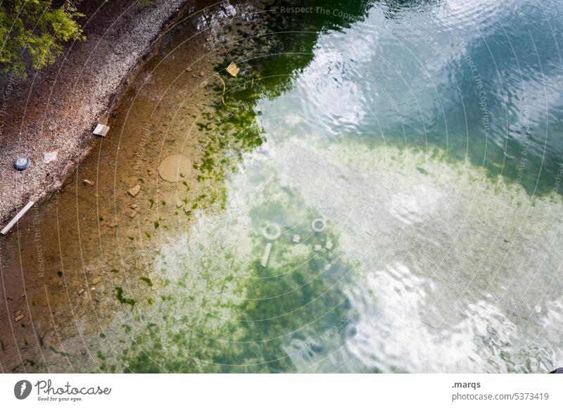 Ufer Flussufer Natur Landschaft Umwelt von oben Ökosystem Bach strömen fließen Böschung Reflexion & Spiegelung Vogelperspektive Wasser