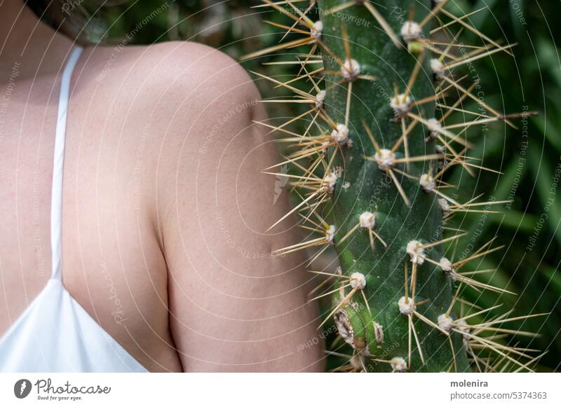 Person steht in der Nähe eines Kaktus mit großen Nadeln und sticht in die Schulterhaut stachelig Haut Schmerz Sukkulente Stachel weiß stechend wehtun Verletzung