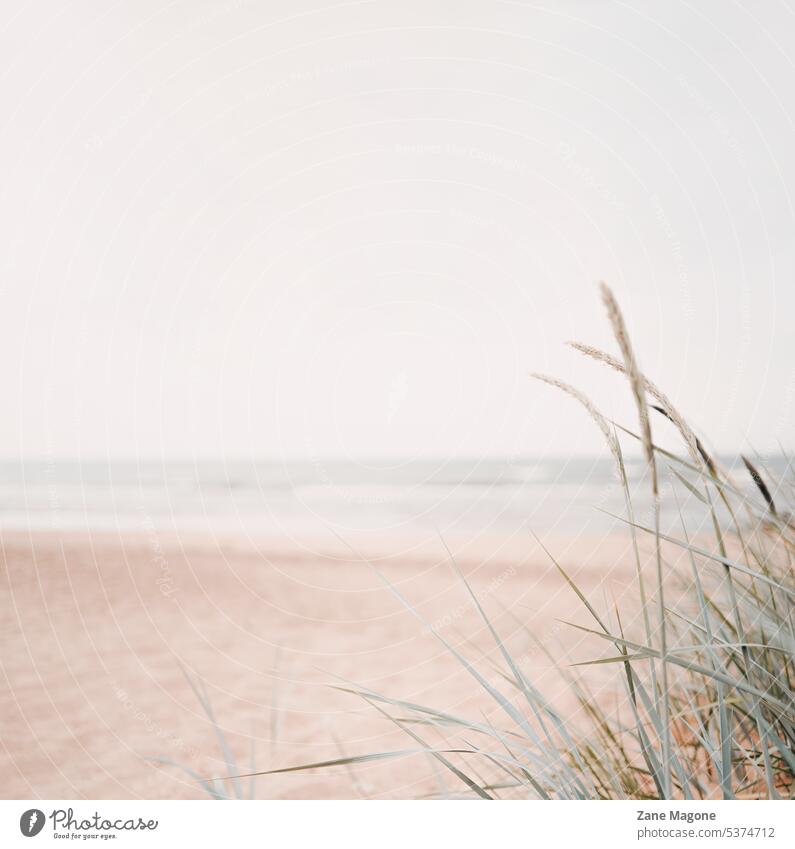 Minimalistischer Sommerstrand-Hintergrund, Ostseeküste Strandhintergrund beige beiger Hintergrund minimalistisch minimaler Hintergrund MEER Pastell