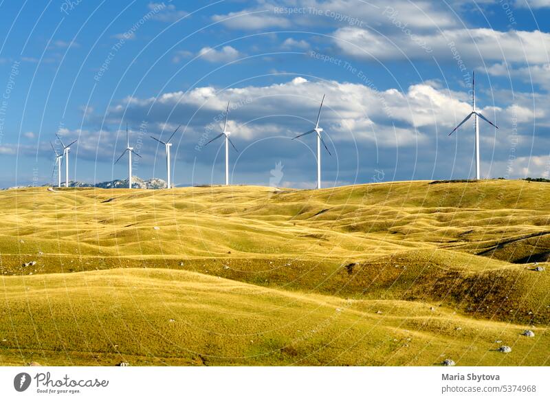Kraftwerke zur Erzeugung erneuerbarer elektrischer Energie. Windmühlen an einem sonnigen Sommertag. Hohe Windturbinen zur Stromerzeugung. Alternative Energie