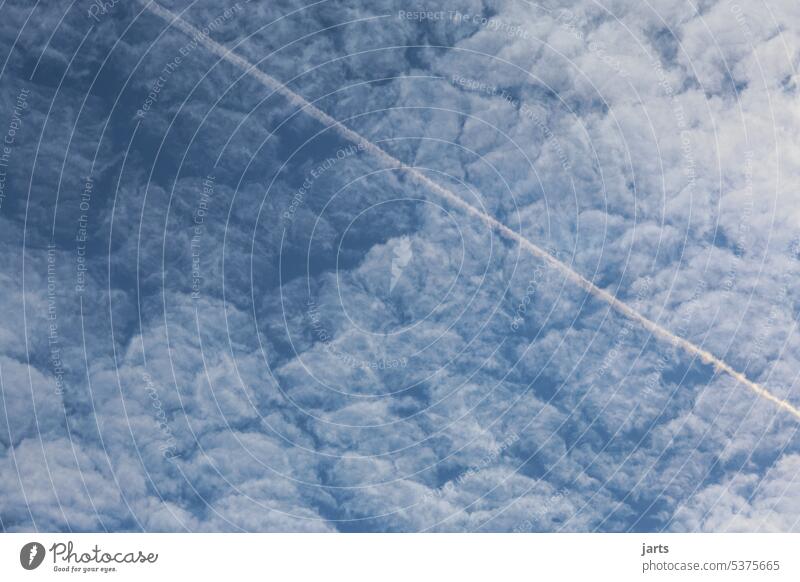 im Himmel Wolken Schäfchenwolke Kondensstreifen blau weiß Watte weich Luftverkehr Freiheit Wetter Schönes Wetter Ferne Umwelt Farbfoto Tag Außenaufnahme