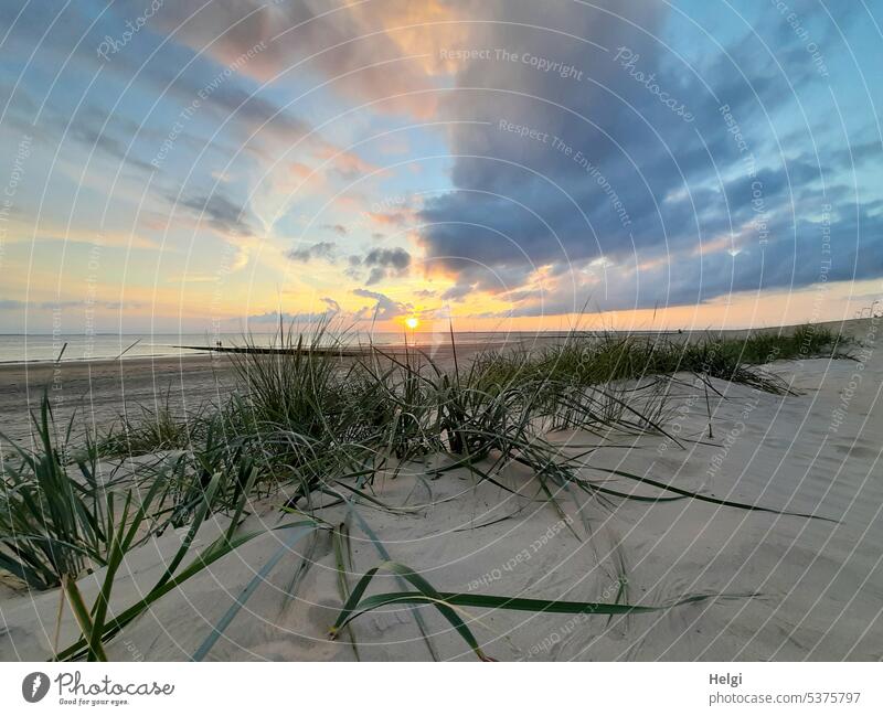 Sonnenuntergang auf der Insel Abend Abendsonne Sonnenlicht Sundown Strand Sand Dünengras Himmel Wolken Wasser Meer Nordsee Nordseeinsel Borkum Weite Landschaft