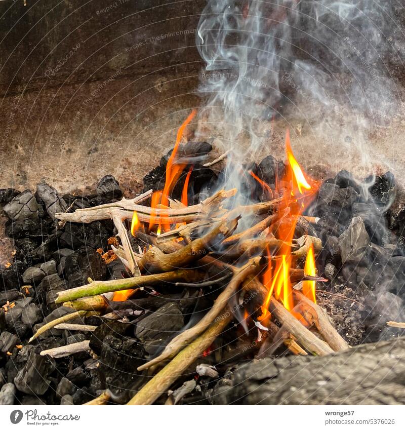Dauerbrenner | Lagerfeuer Thementag Feuerschale stimmungsvoll Stimmungsmacher Feuerstelle Wärme Flamme entzünden entfachen brennen Holz Außenaufnahme Rauch