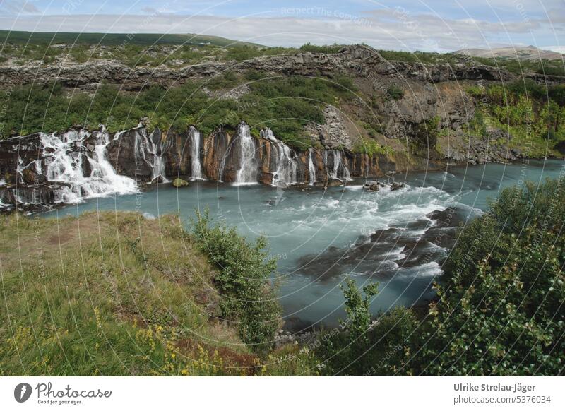 Island Hraunvoss | Wasserfälle treten direkt aus einem Lavafeld heraus fallend Fluss Landschaft vulkanisch Vulkangestein grün türkis blau braun weiss Flusslauf