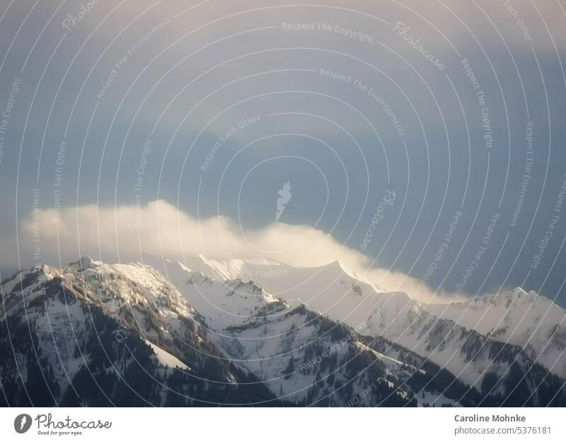 Blick von Meggen gegen den Brisen Titlisgebiet Berge Gipfel Berge u. Gebirge Landschaft Natur Außenaufnahme Farbfoto Umwelt Felsen Menschenleer Alpen