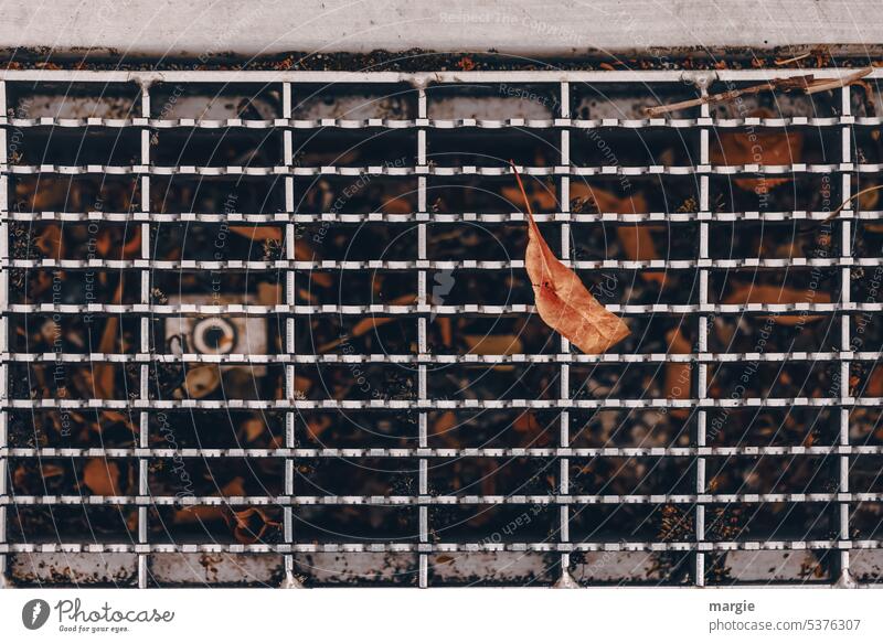 Wasserabfluss verstopft Blätter Gitter Gitterrost Herbst Abfluss Gedeckte Farben Muster Blatt Menschenleer Detailaufnahme Strukturen & Formen Metall Abflussrohr