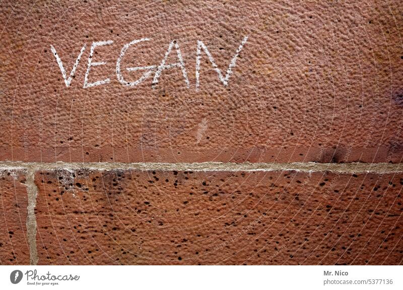 vegan Schriftzeichen Mauer Vegane Ernährung Graffiti Schmiererei Gesundheit Lebensmittel Gesunde Ernährung Vegetarische Ernährung Bioprodukte Essen Hauswand