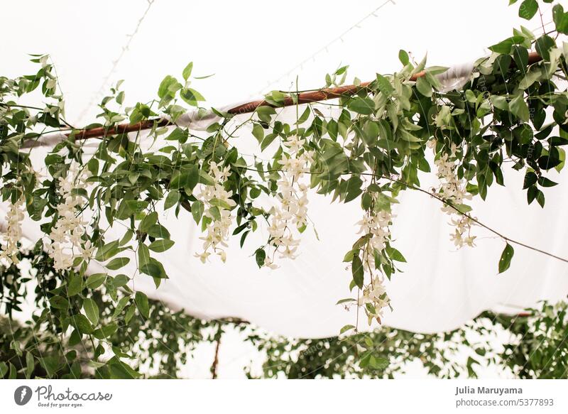 Outdoor-Hochzeitsdekoration aus weißen Glyzinienblüten mit Grünzeug an einem Stab weiße Blumen geblümt grüne Blätter Blatt weißes Tuch Lichterketten Eleganz