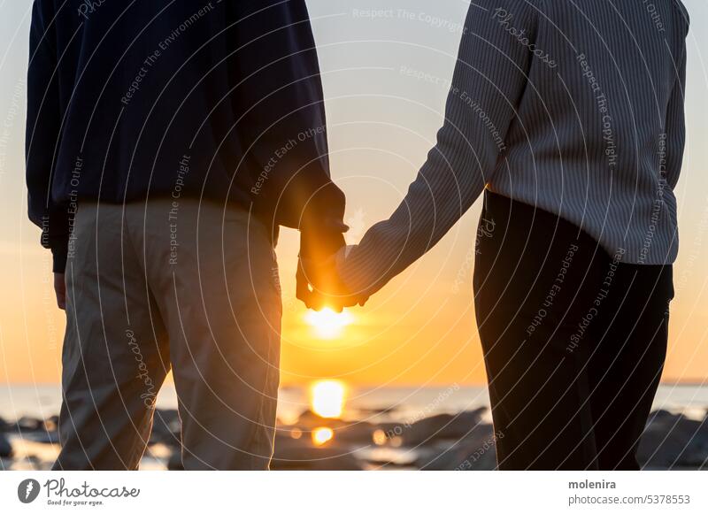 Zwei Personen halten sich bei Sonnenuntergang an den Händen Paar Silhouette Finger Interlacing Beteiligung Liebe Termin & Datum blau Himmel Partner Hülse zwei