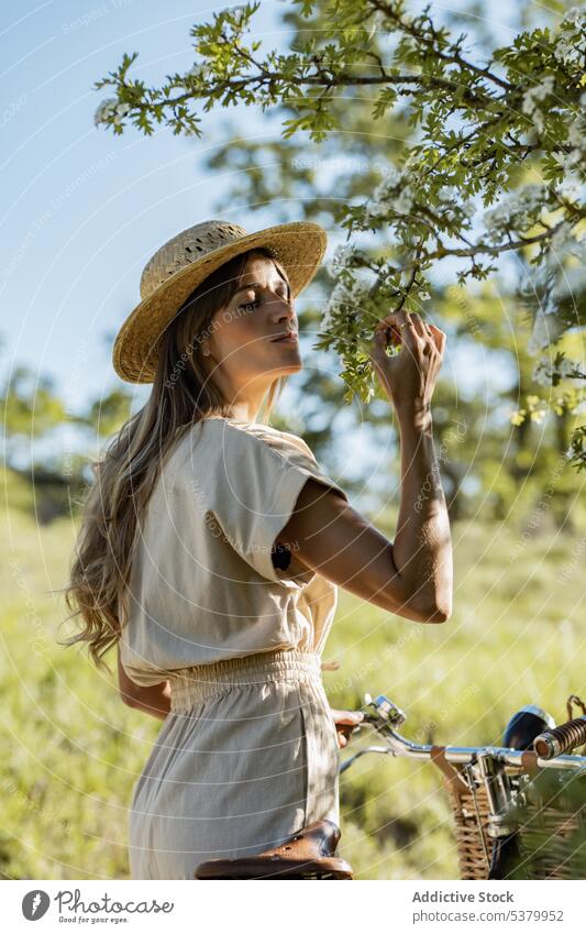 Sinnliche Frau, die an einem blühenden Baum auf dem Lande riecht Landschaft riechen Blüte sanft genießen Wittern Fahrrad duftig Natur jung Wochenende geblümt