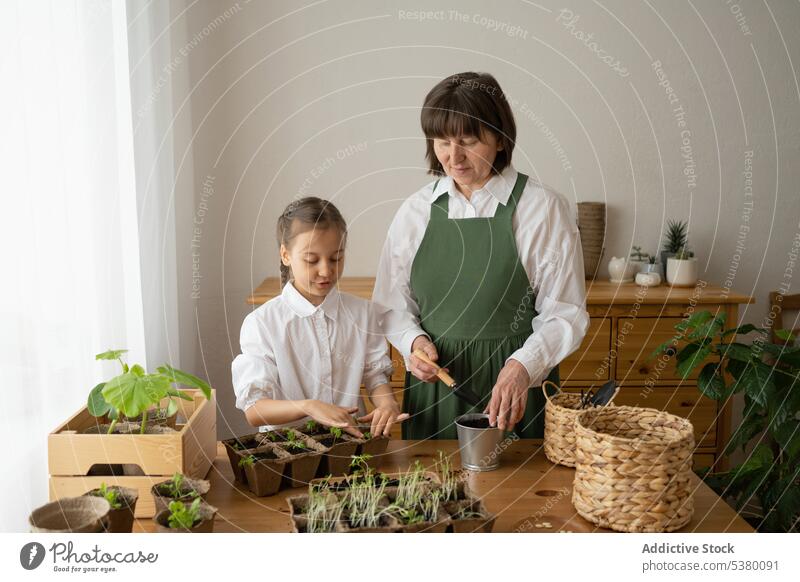 Nachdenkliche Frau arbeitet mit ihrer Enkelin an der Bodenvorbereitung Gärtner Pflanze Arbeit Hobby Schürze Tisch Erwachsener vorbereiten Mutter Kind froh