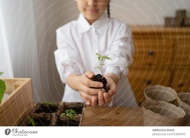 Abgeschnittenes Kind mit Erde und sprießenden grünen Blättern Topf Boden zeigen Gärtner Pflanze Aussaat Blatt Wachstum vegetieren Mädchen Hobby Flora Grün