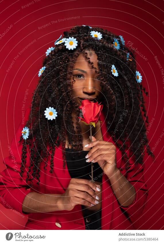 Sinnliche Frau mit Blumen im lockigen Haar hält Rose Roséwein romantisch Jacke frisch geblümt Porträt rot Stil elegant Blütezeit jung hell Afroamerikaner