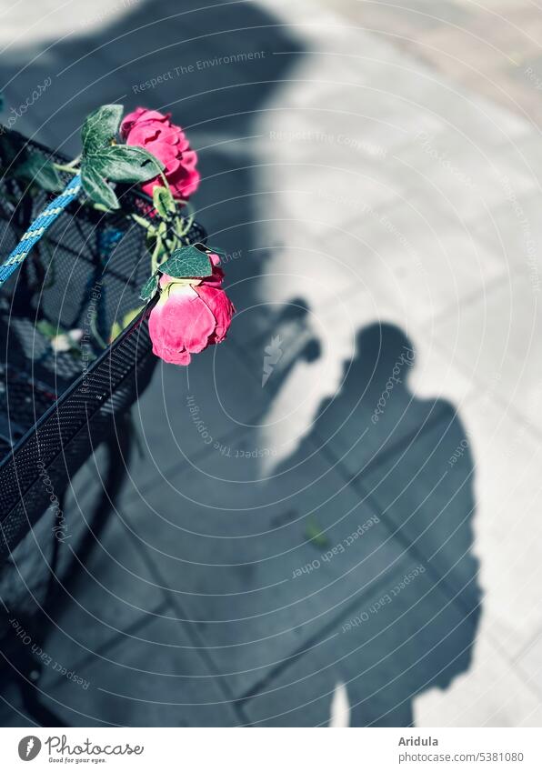 Künstliche Rosen am Fahrradkorb und Schatten auf Gehwegplatten mit Fotografin Mobilität parken Fahrradfahren Stadt Rad Straßenverkehr Verkehrsmittel