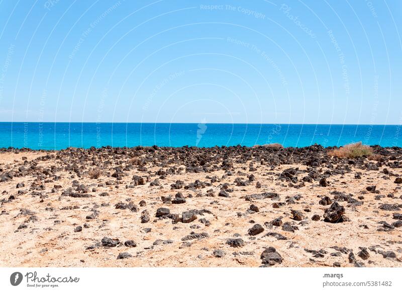 Hochsommer Sommer Strand Stein Sand Meer Horizont Wolkenloser Himmel Schönes Wetter Ferien & Urlaub & Reisen Erholung Sommerurlaub Tourismus Fuerteventura