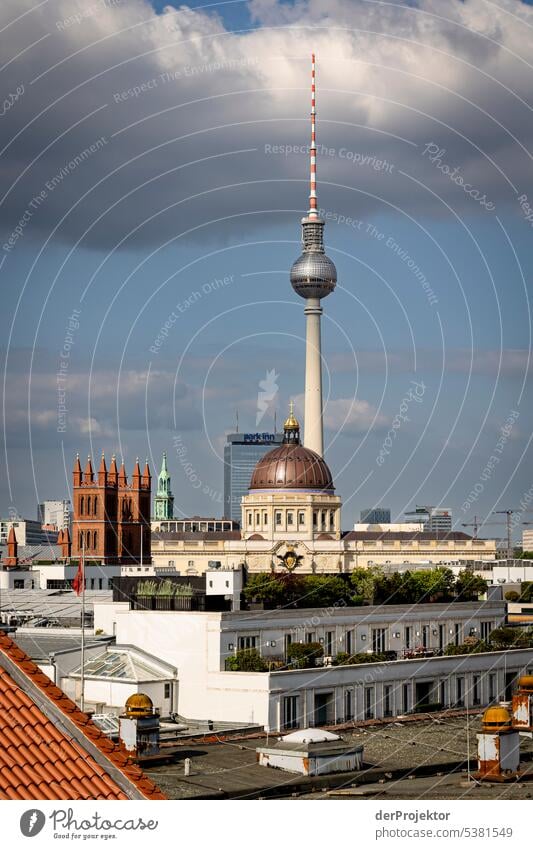 Ein Blick über die Dächer von Berlin mit Fernsehturm metropole Freiheit Großstadt Berlin Zentrum Panorama (Aussicht) Sonnenstrahlen urban Schönes Wetter