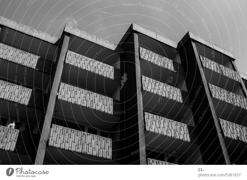 UT Bock auf Bochum | graue großstadt Hochhaus anonym Architektur Fassade Balkon Stadt trist Beton Plattenbau wohnen urban Blick nach oben Person