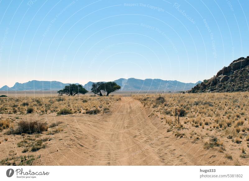 Lass den Blick schweifen 3 Afrika Namibia Umwelt Natur Landschaft Erde Sonnenlicht Hügel Berge u. Gebirge Gipfel Wüste exotisch Ferne frei gigantisch