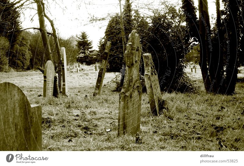 Graveyard Grab Grabstein Baum Sarg Trauer Friedhof untot Einsamkeit ruhig England Wiese Stillleben Religion & Glaube Götter Teufel Tod Spuk