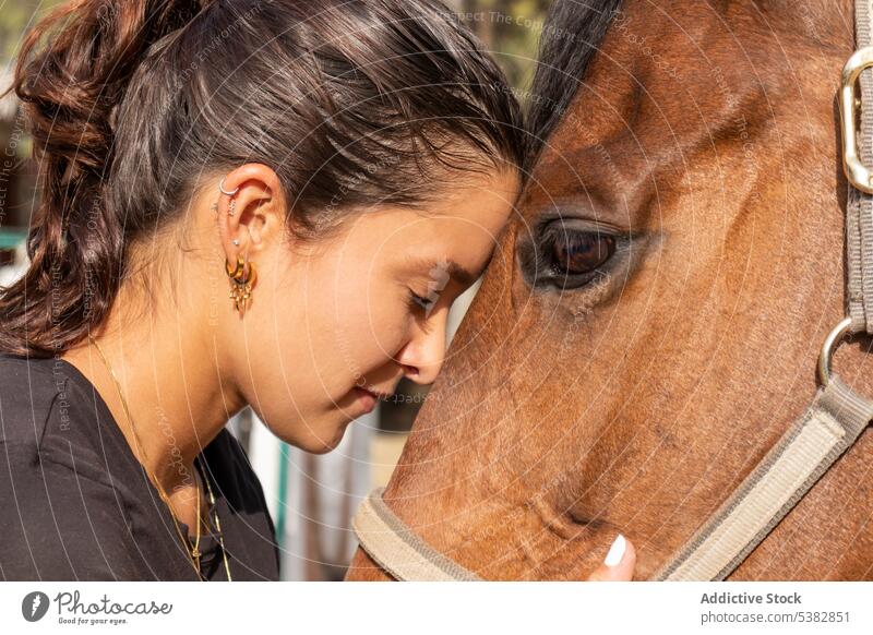 Junge Frau umarmt Pferd auf Ranch Reiterin Umarmung Landschaft Tier Umarmen Pferdestall Zusammensein Bauernhof pferdeähnlich jung Liebe Hengst lässig Begleiter