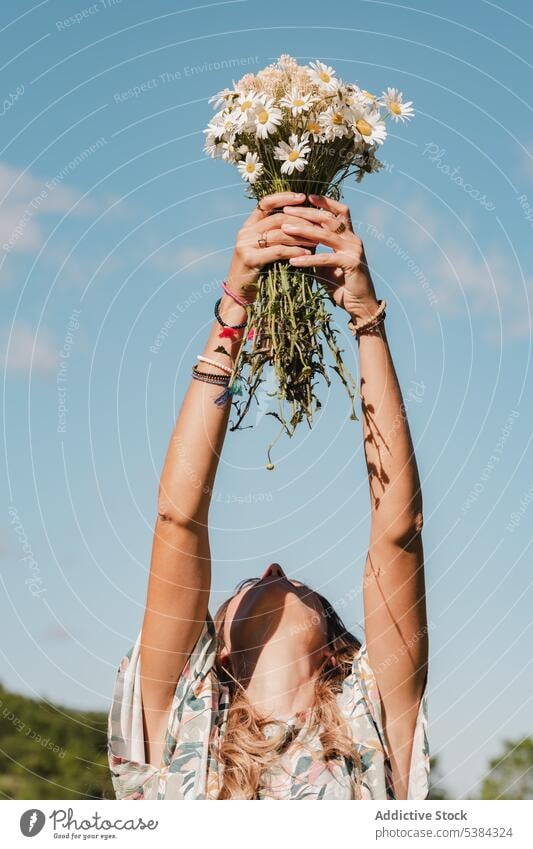 Anonyme Frau mit Kamille in den Händen Gänseblümchen Blume Blumenstrauß Haufen Frühling Blütezeit Sommer Urlaub Hand Wildblume frisch wild Feld Natur grün weiß