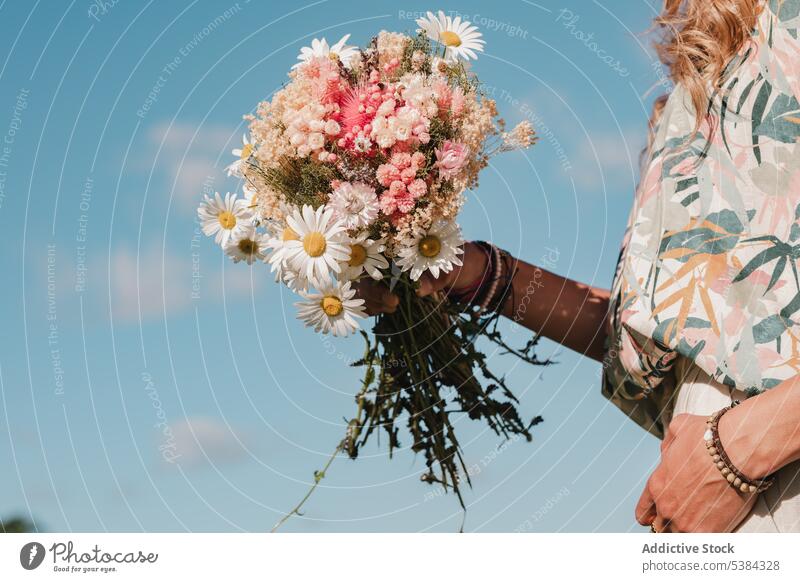 Frau mit Kamille in den Händen Gänseblümchen Blume Blumenstrauß Haufen Frühling Blütezeit Sommer Urlaub Hand Wildblume frisch wild Feld Natur grün weiß geblümt