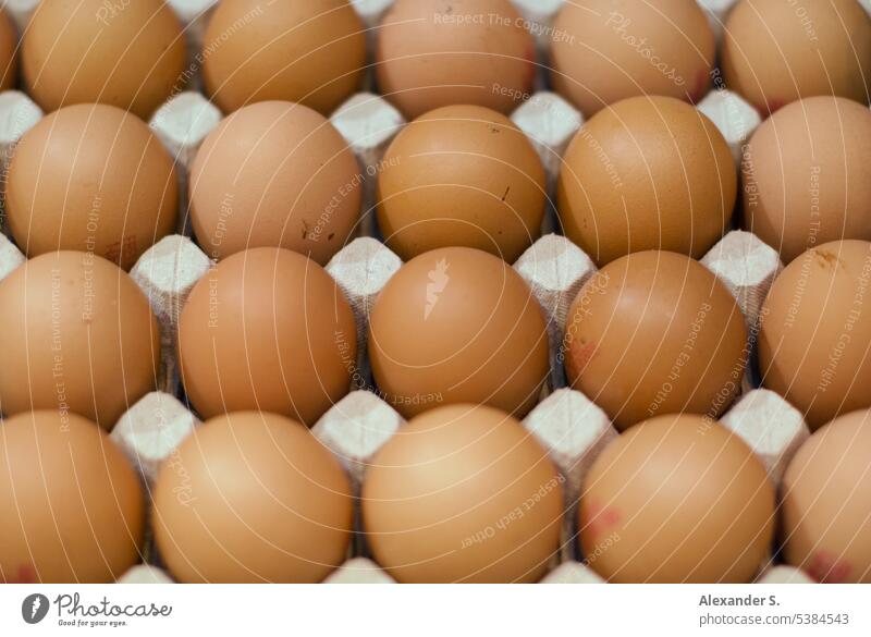 Eier in Eierkarton Lebensmittel Hühnerei